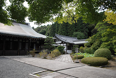 b0059664_17161376.jpg