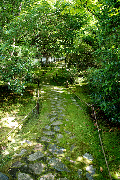 b0059664_17225987.jpg