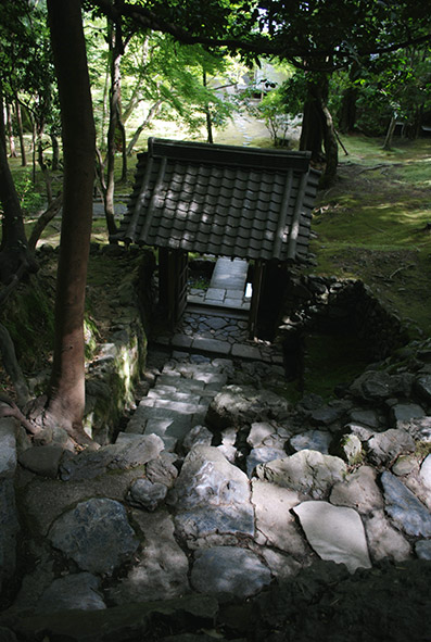 b0059664_173814100.jpg