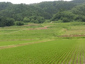 b0218664_17501349.jpg