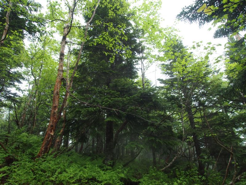 c0321967_19505412.jpg