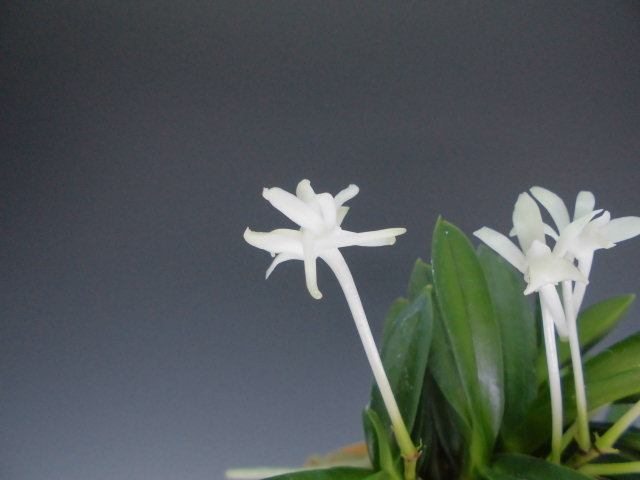 f0318967_20550420.jpg