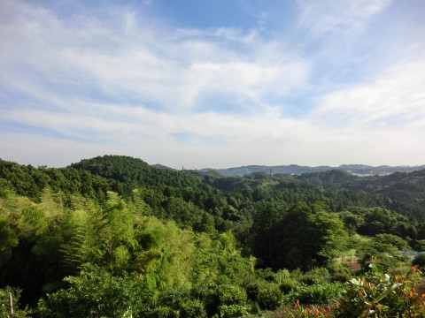 e0045768_224219.jpg