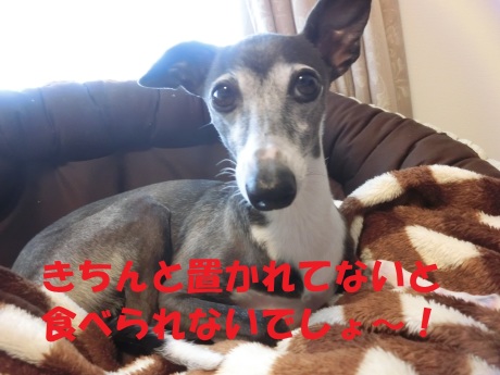 f0223972_09100179.jpg