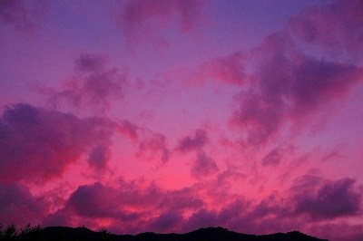 f0182173_1232361.jpg