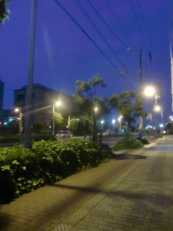 f0238779_824483.jpg