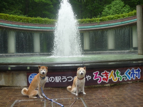 c0123890_21374519.jpg
