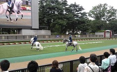 f0069890_23332486.jpg
