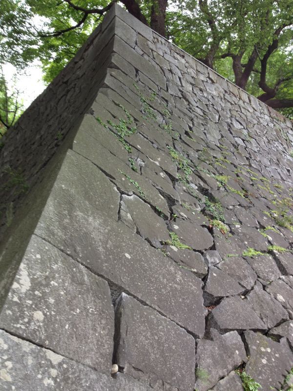 e0152493_5561874.jpg