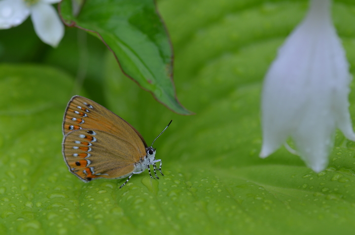 a0277496_1553276.jpg