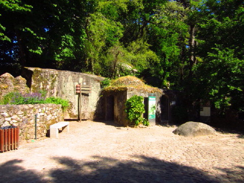 c0180096_19432488.jpg