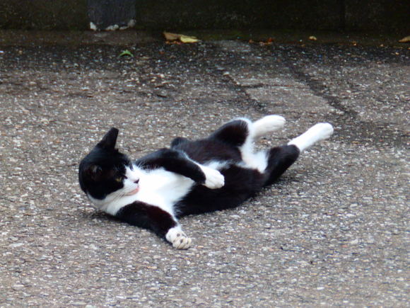 f0307097_3102554.jpg