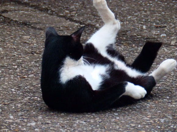 f0307097_3111963.jpg