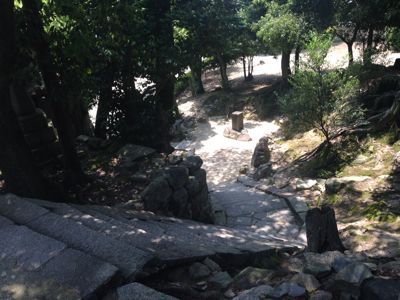 d0007913_2354936.jpg