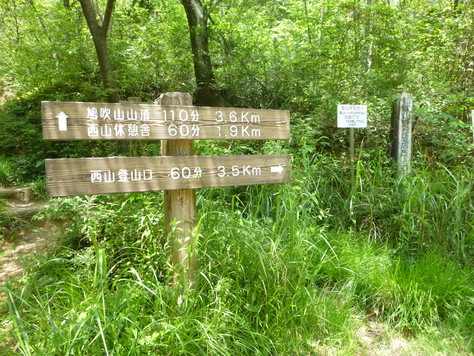 d0170615_14391959.jpg