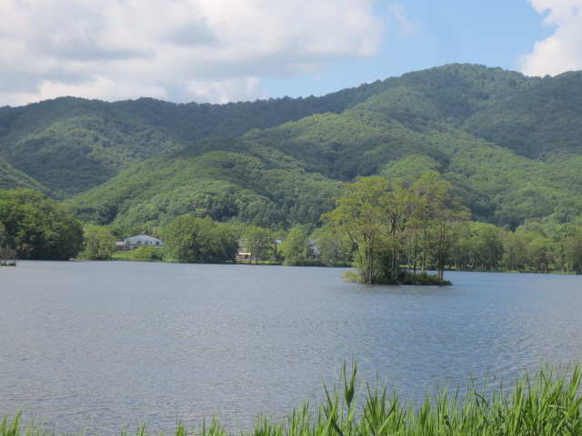 f0248616_17344273.jpg