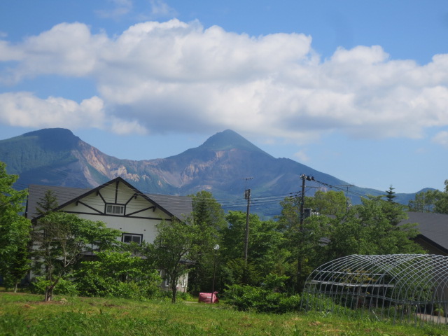 f0248616_17354275.jpg