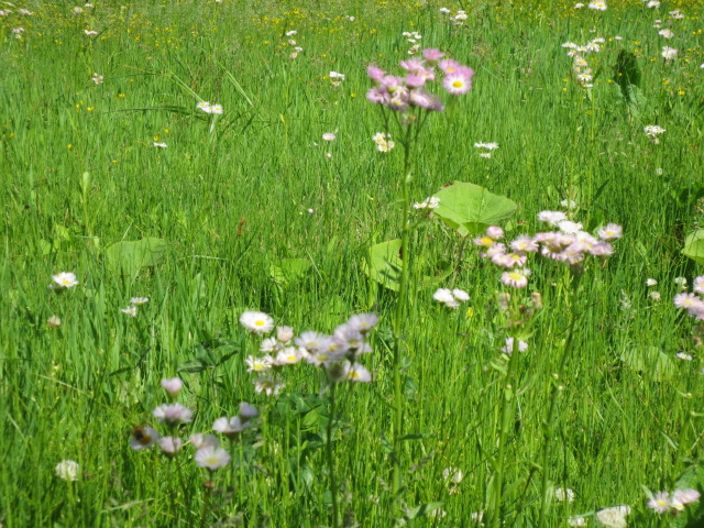 f0248616_17371684.jpg