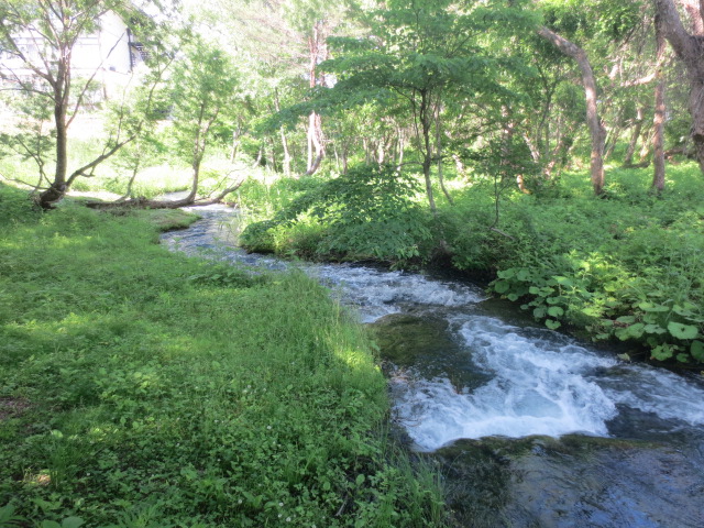 f0248616_2056628.jpg