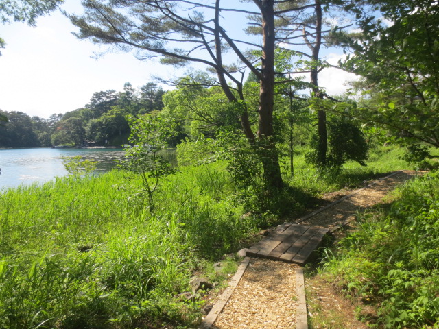 f0248616_21101480.jpg