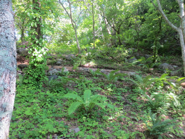 f0248616_21103722.jpg