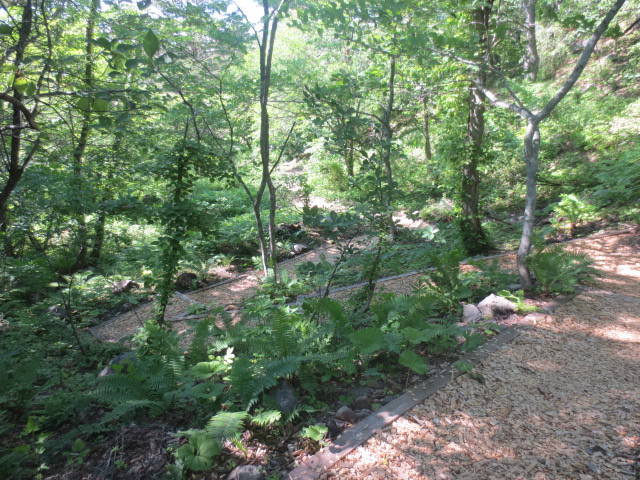 f0248616_21141696.jpg