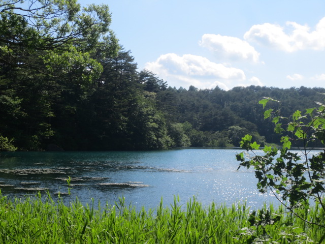 f0248616_2195878.jpg