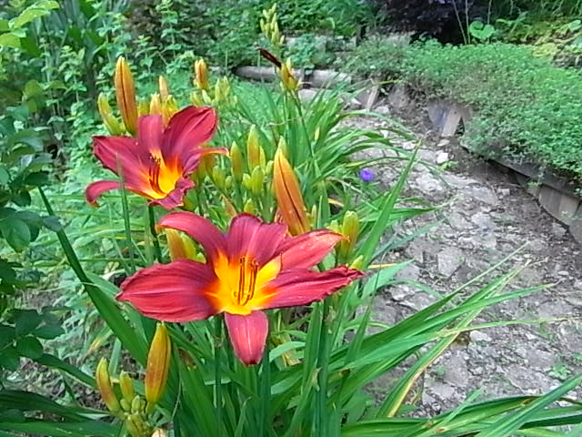 f0341616_613387.jpg
