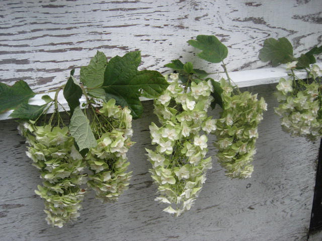 f0139520_2355427.jpg