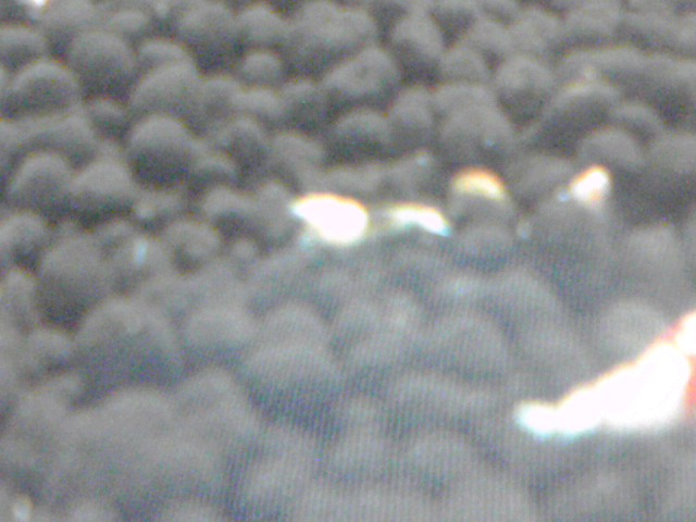a0291521_8514730.jpg
