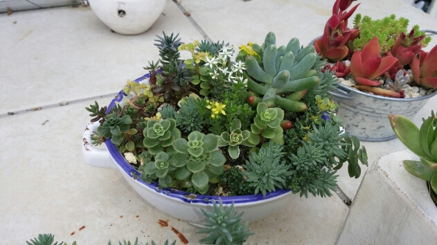 f0277327_17581170.jpg