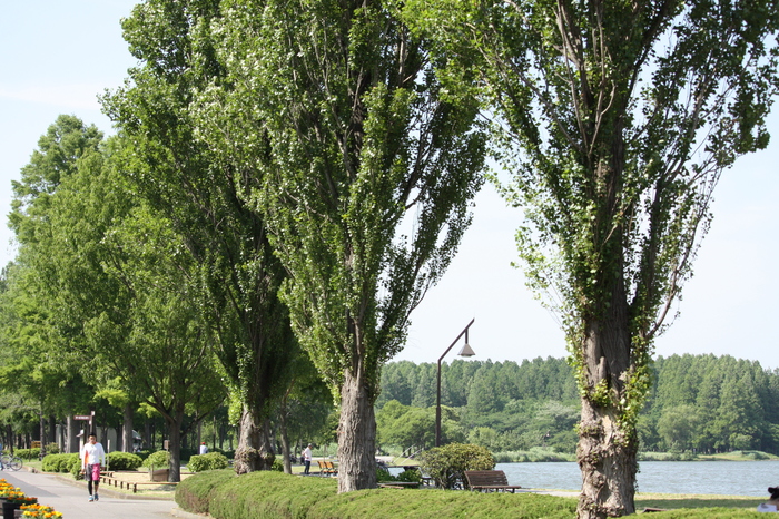 a0214329_8434391.jpg