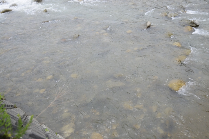c0133133_1723926.jpg