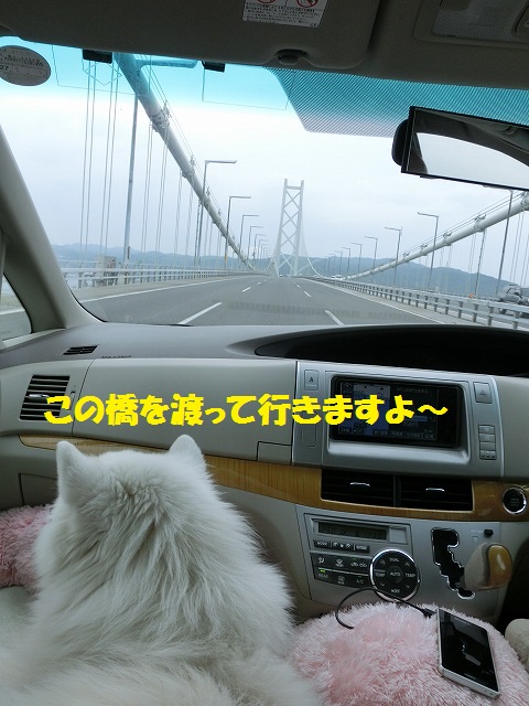 e0196135_21375711.jpg