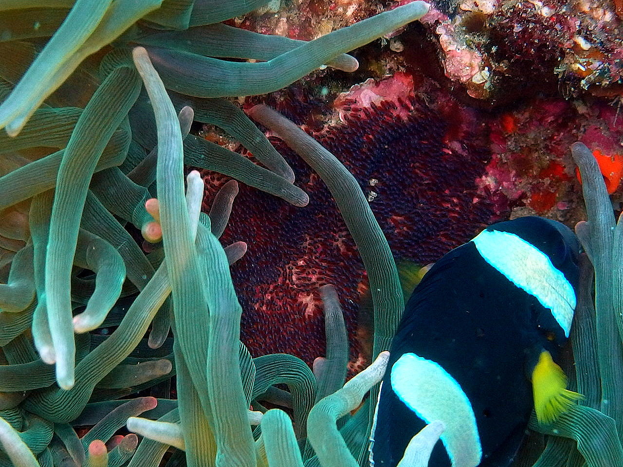 b0236647_1426914.jpg
