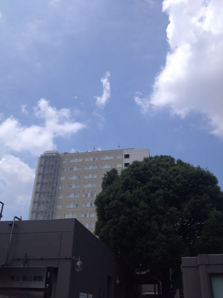 b0021251_8335241.jpg