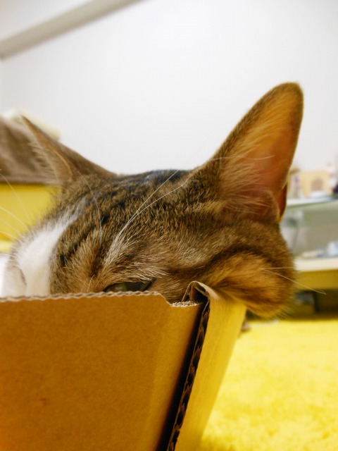 a0150353_074820.jpg