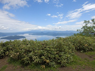 e0004756_21145811.jpg