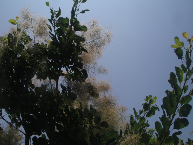 c0108460_21283903.jpg