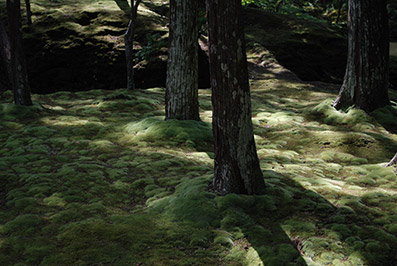 b0059664_1831334.jpg
