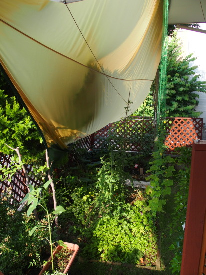 c0122670_07343083.jpg