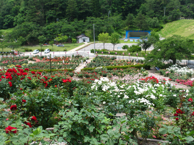 e0106372_15581337.jpg