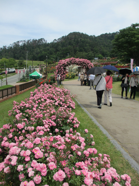e0106372_15585157.jpg
