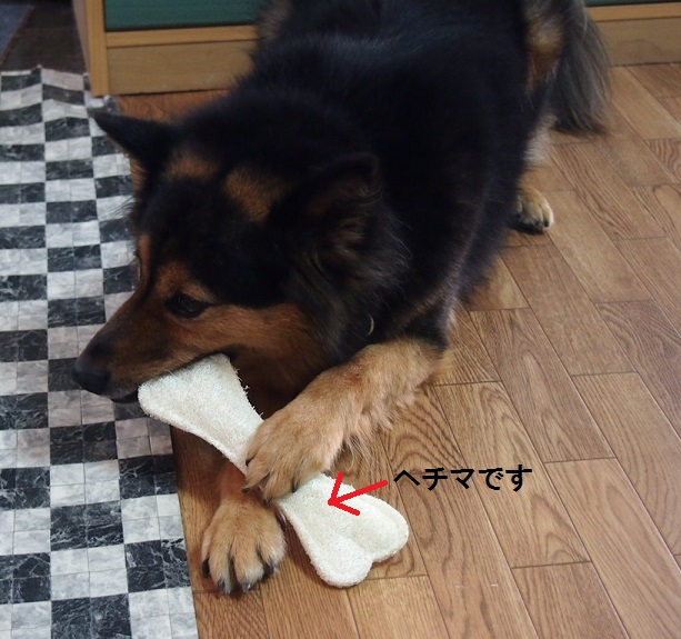f0253473_2043689.jpg