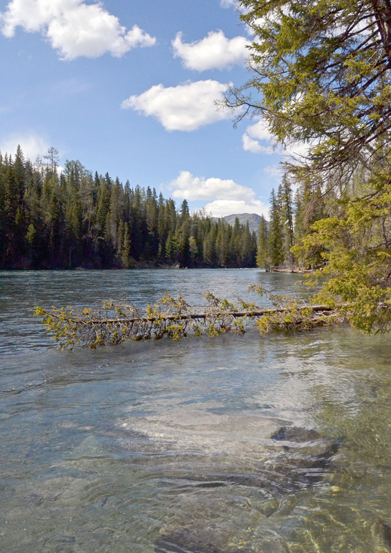 f0018492_2143557.jpg