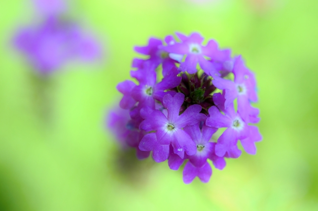 c0247096_1220331.jpg