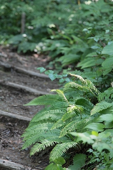 e0209997_01475040.jpg