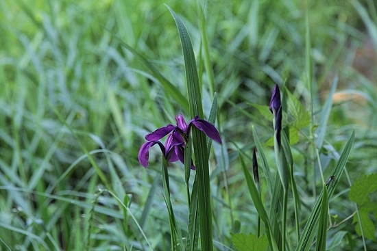 e0209997_01485352.jpg