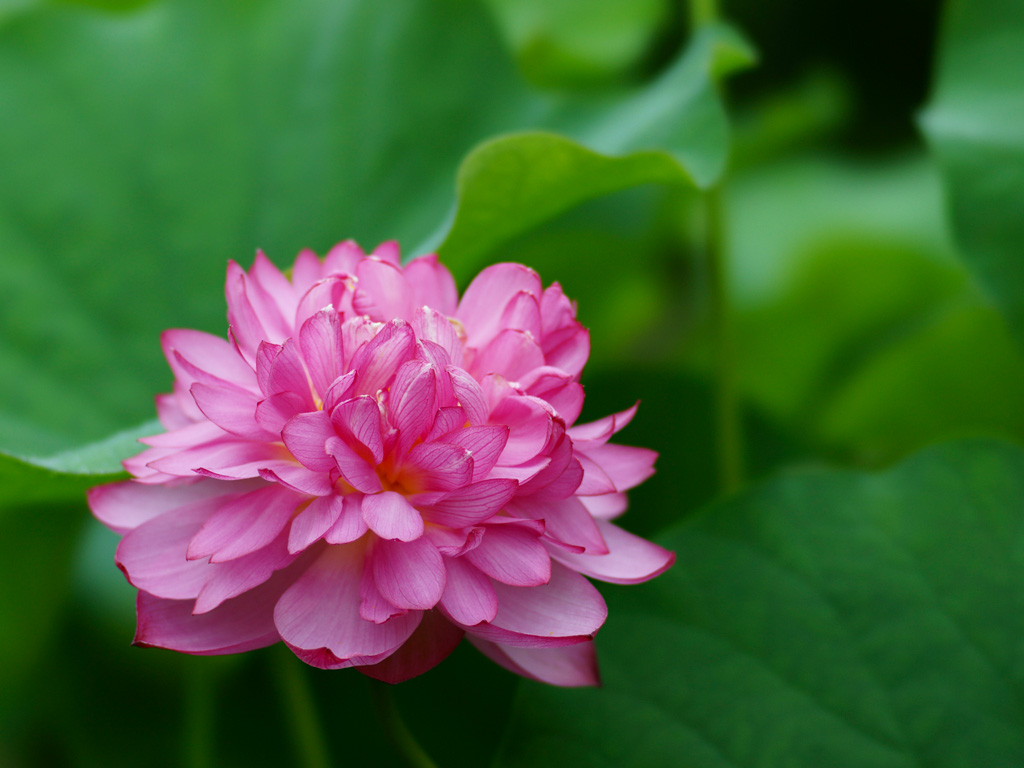 f0201297_9291333.jpg