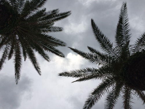 a0151799_16471386.jpg
